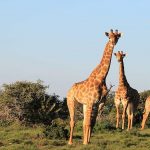 Willkommen im SEO-by-Content-Blog von 7media